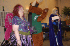 ValleyCon 37 - 2011